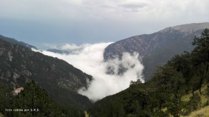 Niebla ascenso desde el Valle
